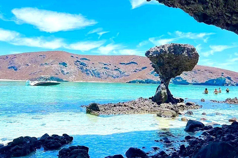 La Paz: Espíritu Santo & Balandra Boat Tour with Ceviche