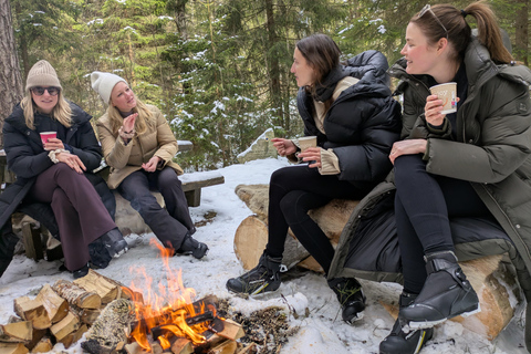 Oslo: 3-hour Cross Country trip with equipment and guide