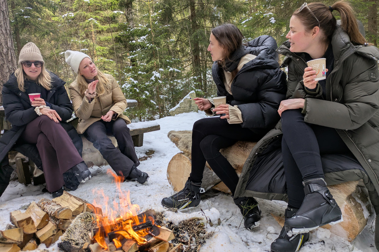 Oslo: 3-hour Cross Country trip with equipment and guide