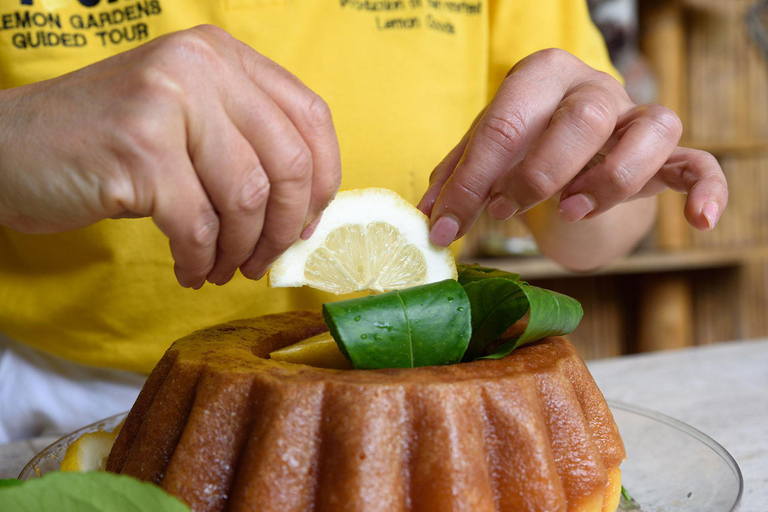 Amalfi: Vertical Lemon Farm Tour, Tastings, and Rural Museum