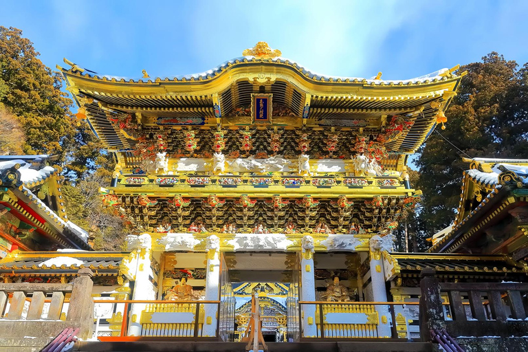 From Tokyo: Nikko Toshogu Shrine and Lake Chuzenji Day Trip Private Sightseeing Tours