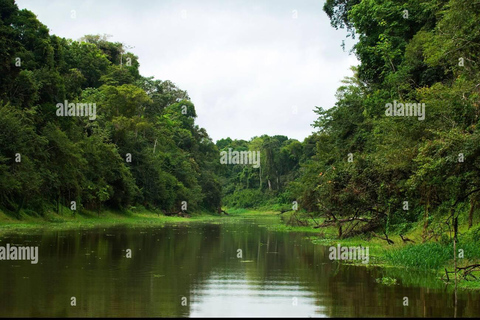 Parque Manú | Paucartambo | Pilcopata 3 días incluye comida