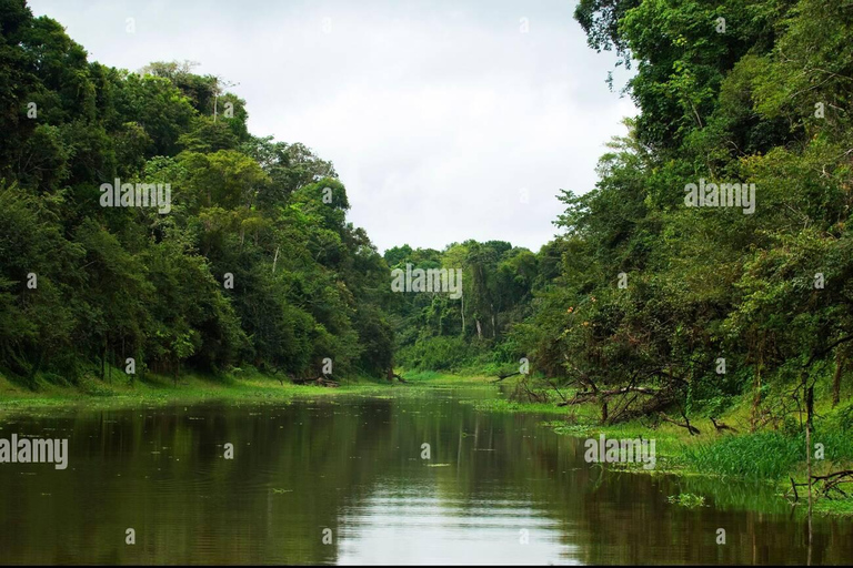 Parco Manú | Paucartambo | Pilcopata 3 giorni include il cibo