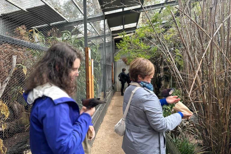 Vanuit Adelaide: Knuffel een Koala en historische Hahndorf Tour