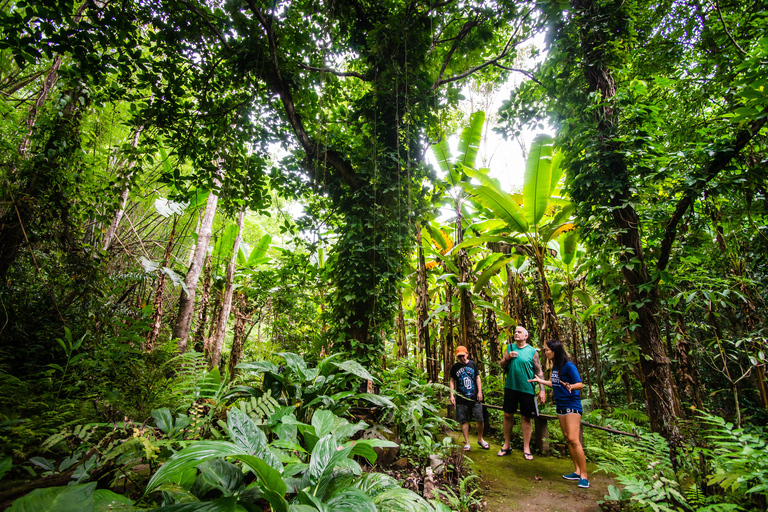 Explore Sri Sangwan Waterfall and Giant Cave I Chiang Mai