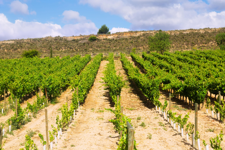 Montpellier: Private Sunset Horse Riding & Wine Tasting