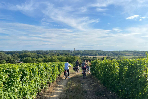 Giro in ebike dei vini e dei formaggi della Touraine, con degustazione nei vigneti