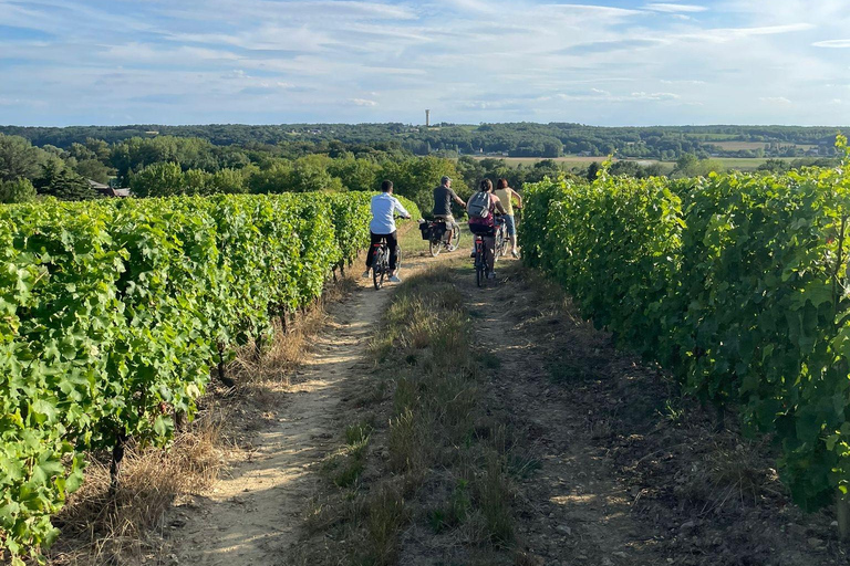 Giro in ebike dei vini e dei formaggi della Touraine, con degustazione nei vigneti