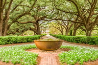 Desde Nueva Orleans, Oak Alley Plantation Tour - Housity