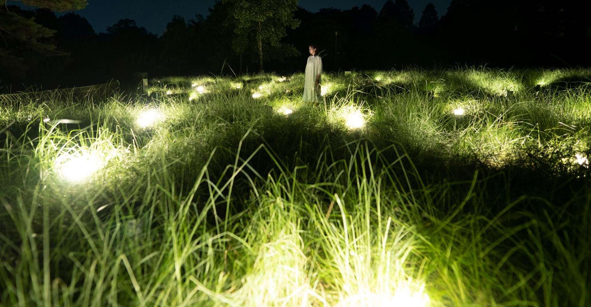 Osaka: teamLab Botanical Garden Entry Ticket photo 10