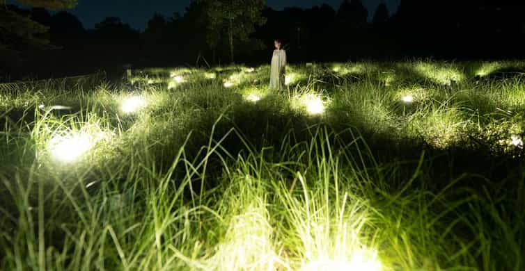 Osaka: teamLab Botanical Garden Entry Ticket photo 10