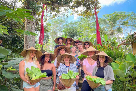 Ubud: Balinese Cooking Class 10Dish and Market with Tranfers