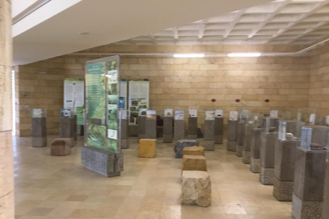 Amman: Ma’in Hot Springs and Dead Sea Panorama