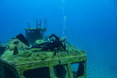 Boka Bay: Intro Scuba Dive or Shipwreck Exploration Intro Dive – Your First Step Into the Underwater World