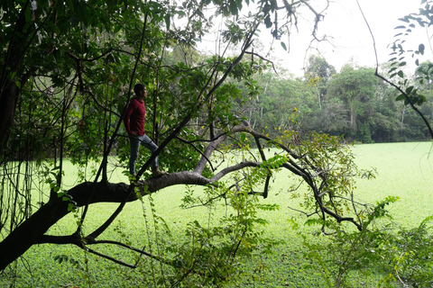 Excursión a la Selva de la Reserva Nacional Pacaya Samiria.