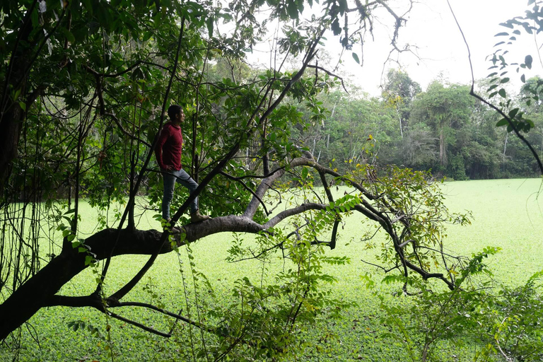 Excursion to the Pacaya Samiria National Reserve Jungle.