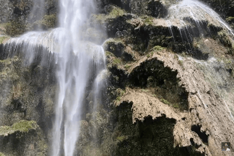 Oslob: Whale Sharks, Tumalog Falls & Sumilon Trio Adventure