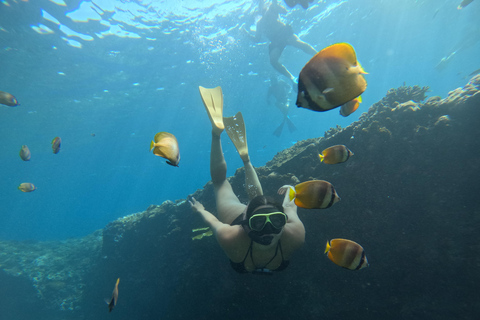 Lembongan: Manta Bay, Turtle Bay, & Gamat Bay Snorkeling