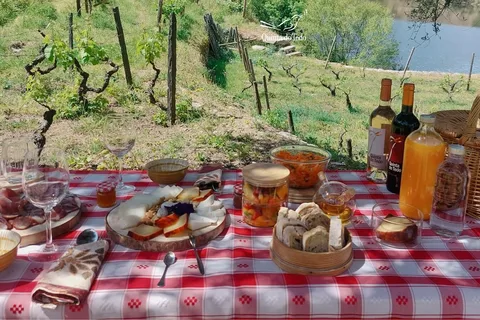 Vallée du Douro : Expérience viticole à la Quinta do Tedo avec pique-nique