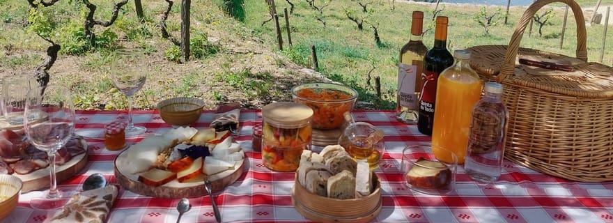 Vallée du Douro : Expérience viticole à la Quinta do Tedo avec pique-nique