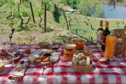 Douro Valley: Quinta do Tedo Wine Experience with Picnic