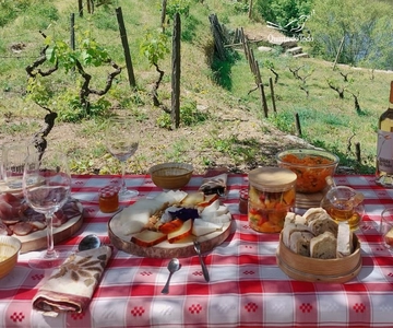 Douro Valley: Quinta do Tedo Wine Experience with Picnic