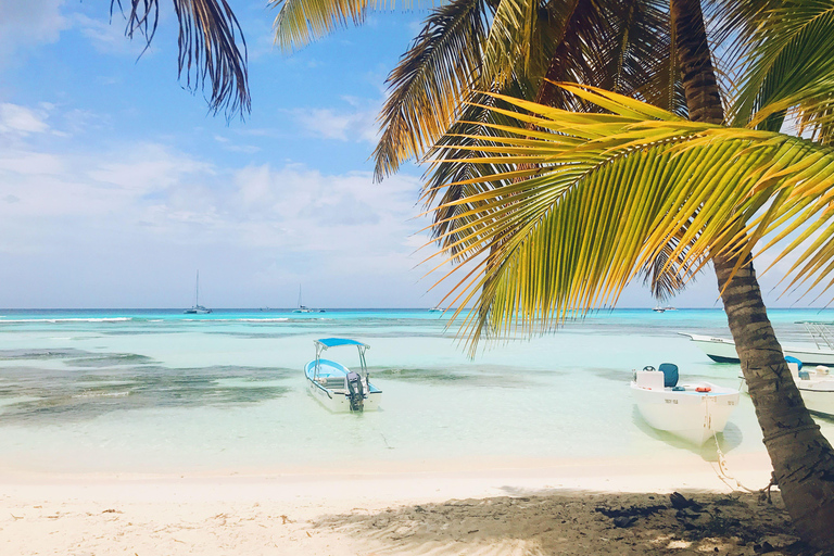 Punta Cana: Beach Horseback Ride, Natural Pool & Sea Access