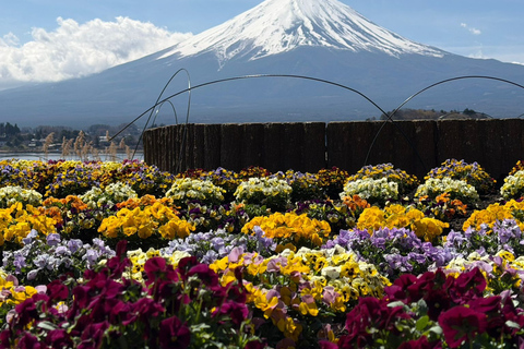From Tokyo: Mount Fuji and Hakone Private Customizable Trip From Tokyo: Mount Fuji and Hakone Full Customizable Trip