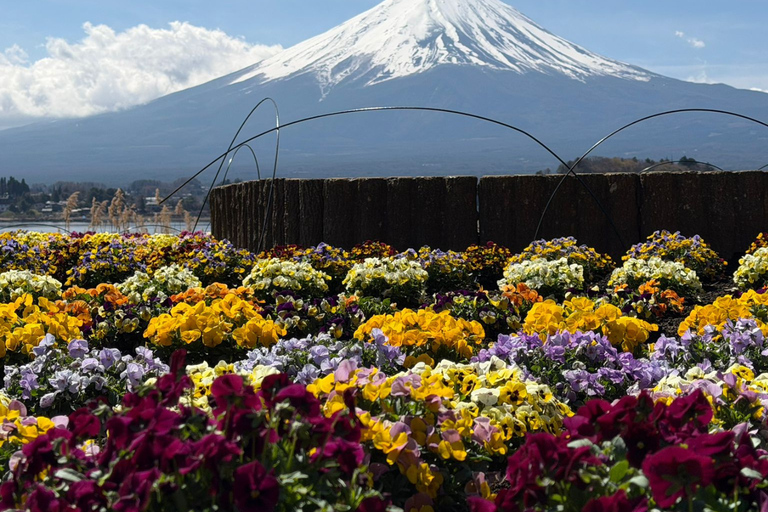From Tokyo: Mount Fuji and Hakone Private Customizable Trip From Tokyo: Mount Fuji and Hakone Full Customizable Trip