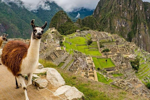 Machu Picchu 2 Day Tour with Tickets