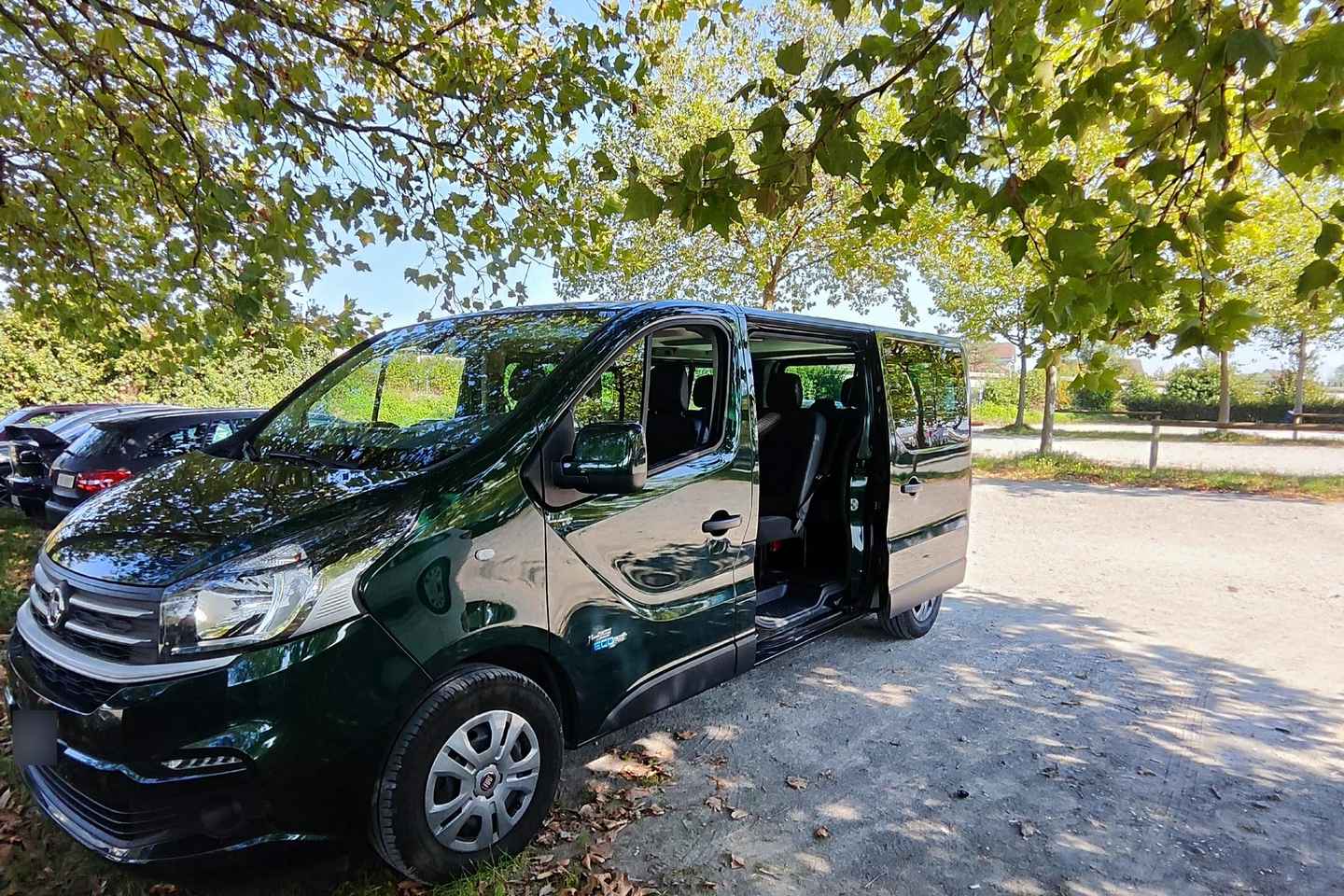Scenic Shuttle: Lucerne to Interlaken Transfer Service - Scenic Shuttle: Lucerne to Interlaken Transfer Service