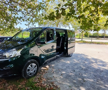 Scenic Shuttle: Lucerne to Interlaken Transfer Service