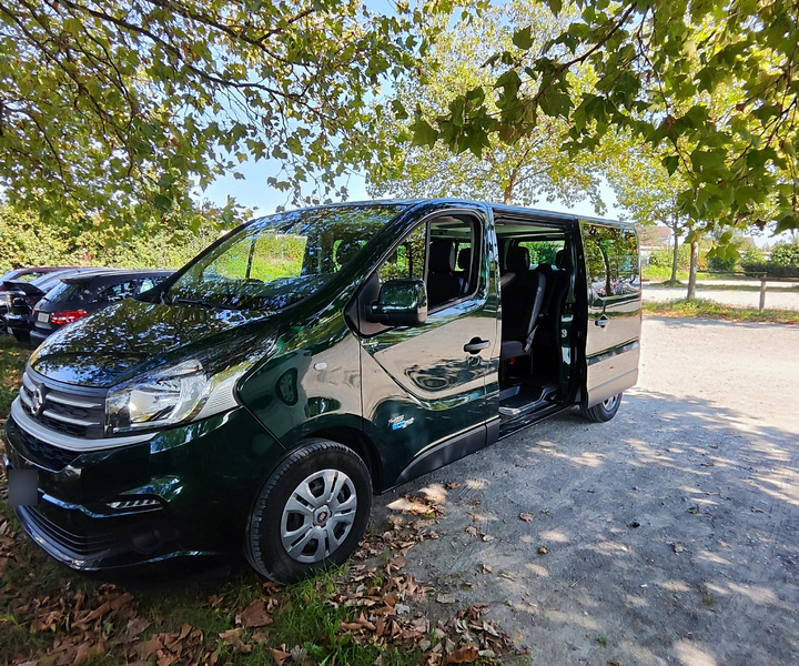 Scenic Shuttle: Lucerne to Interlaken Transfer Service
