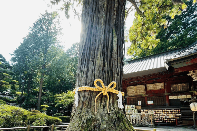 Tokyo: Monte Fuji e Hakone Tour privato flessibile e a basso prezzoTour privato del Monte Fuji e di Hakone in una corona rilassante