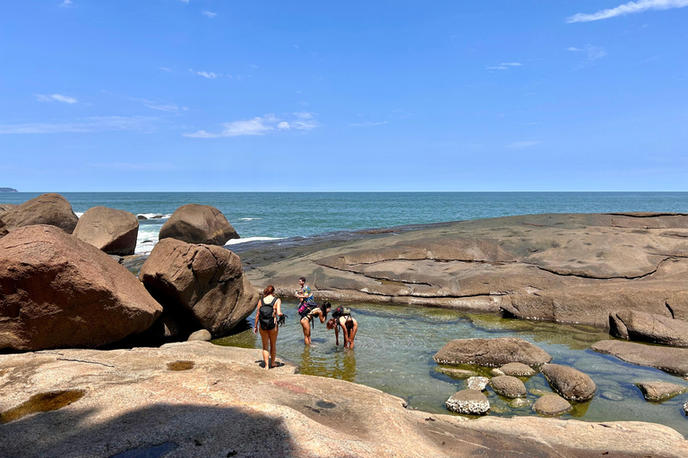 Ubatuba - Praia Brava de ItamambucaUbatuba – Praia Brava de Itamambuca