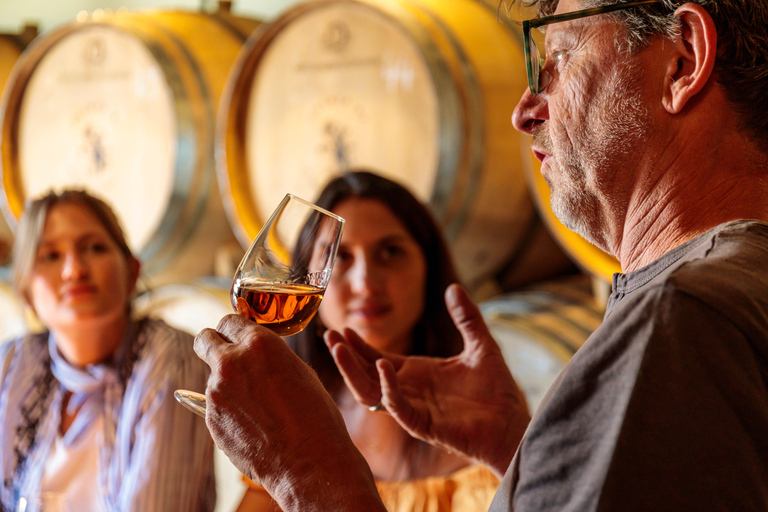 Lisbon: Carcavelos Vineyard Tour and Wine Tasting