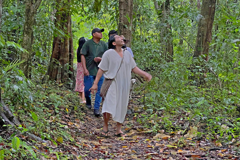 Palenque: Rafting and Hiking in the Lacandona Jungle