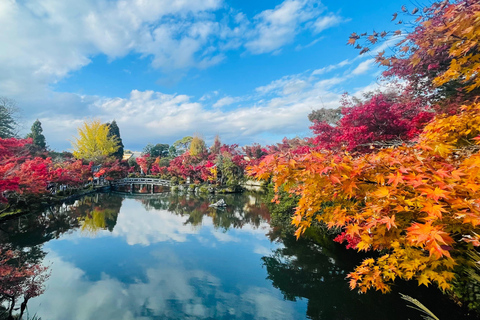 Kyoto Private Tour with English Guide & Pickup (Osaka-Kyoto)