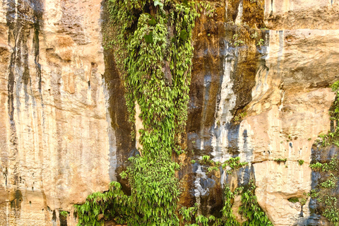 Full Day Wadi Mibam Group Tour