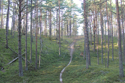 Desde Riga: ¡Excursión de un día a Kolka al estilo Zen!