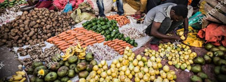 Zanzibar : visite privative de la Ville de pierre
