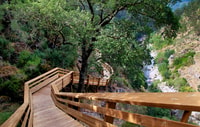516 tour semi-privato di Arouca Bridge & Paiva Walkway - Housity