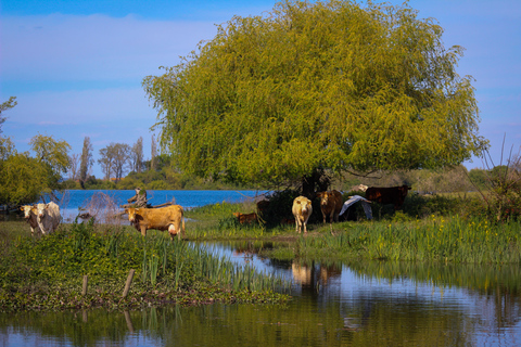 Escaroupim: 1 hour boat trip, guided tour