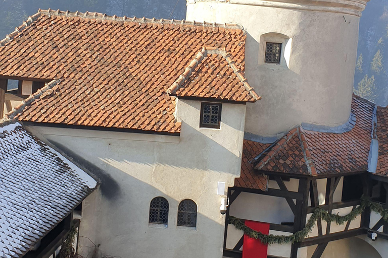 Brașov: 3-day private tour – bears, canyon & hidden trails Private 3-Day Transylvania: Bears, Canyon & Hidden Trails