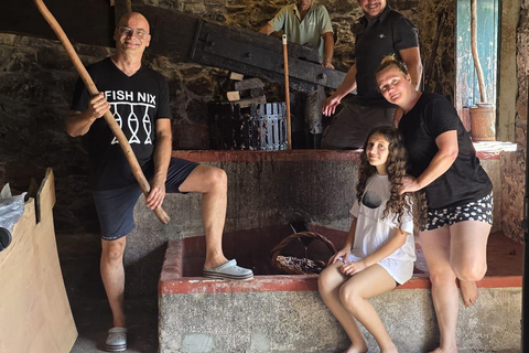Historic Winery of Count Torre Bella Wine Tasting Tour