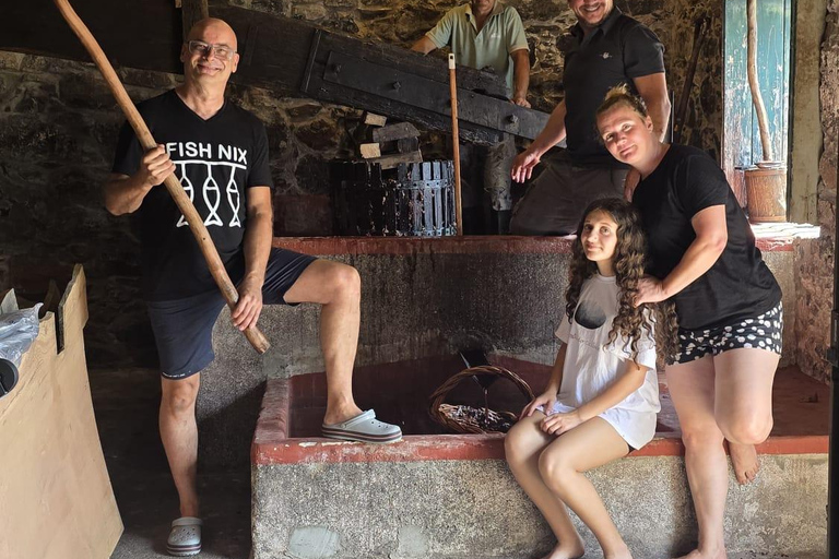 Historic Winery of Count Torre Bella Wine Tasting Tour