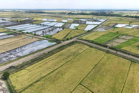 Mwea Tebere Irrigation Scheme Tour in Kirinyaga county Kenya