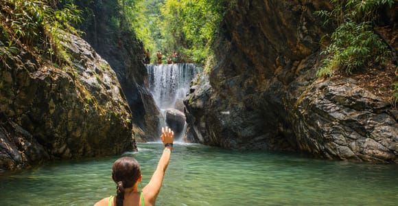 4-Hour Jungle Hike and Waterfall Swim with Nature Expert