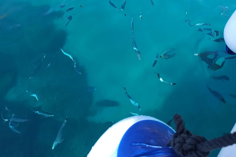 Castro: Boat Tour of Castro Caves and Santa Cesarea Coast