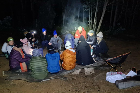 Perth: Excursión nocturna al Monte Cooke